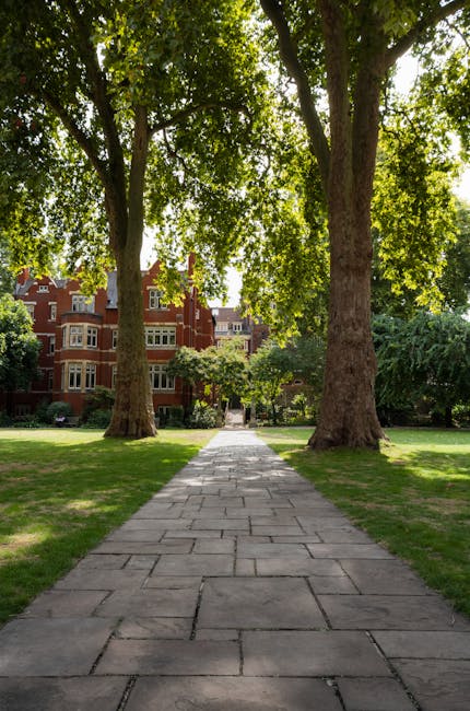 A paved footpath lined with large mature trees on either side extends towards a red brick residential building in the distance, with the building featuring multiple windows and ornate architectural de