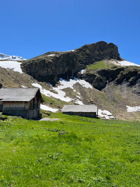A scenic mountain landscape featuring a grassy foreground with lush green vegetation and wildflowers, two wooden cabins with pitched roofs positioned side by side near the center of the image, and a large rocky mountain with patches of snow and exposed rock formations in the background under a clear blue sky. The cabins appear to be part of a rural or alpine setting, with the mountain providing a dramatic natural backdrop. This image illustrates a peaceful outdoor environment, potentially related to outdoor activities or rural home relocation projects, although no moving equipment or vehicles are visible.